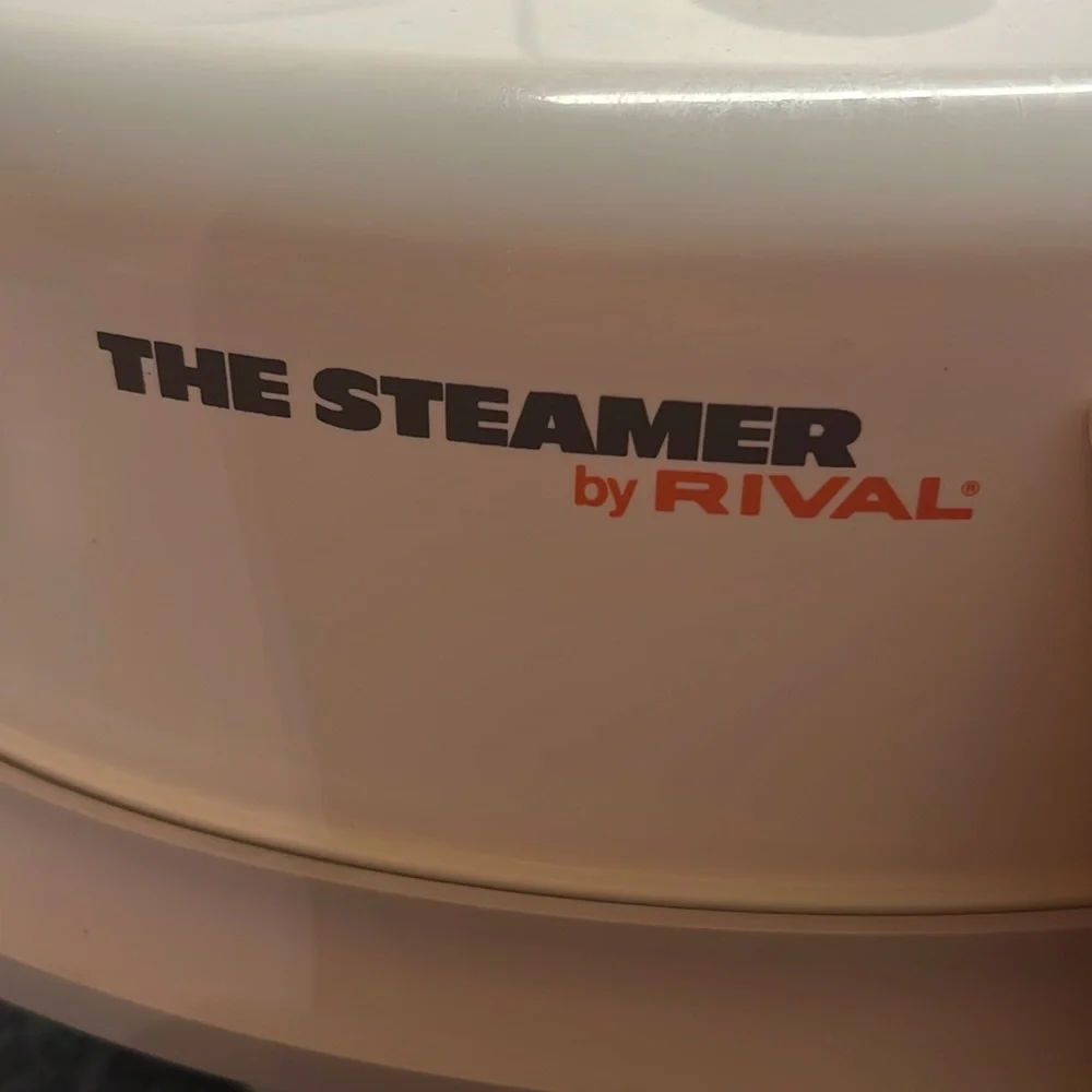 Rival vintage steamer